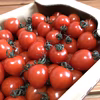 ☆トマトベリー☆高糖度☆ミニトマト☆フルーツトマト☆産地直送