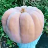 【熱海産♨農薬不使用】 ウリズンブレイク2018 第１弾 『白皮砂糖かぼちゃ』