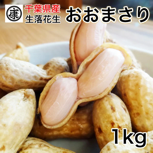 千葉県産おおまさり1kg 食べ応えバツグンのジャンボ落花生！甘くて大粒