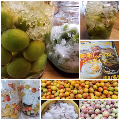 みんなの投稿の画像