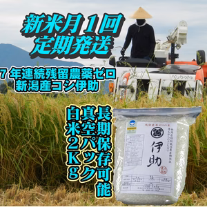 「定期便真空パック白米」新米新潟産 7年連続残留農薬ゼロ コシ伊助２Ｋｇ