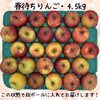 送料無料◎春になっても美味しい！春待ちりんご【訳あり4.5kg】