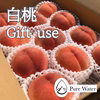 [ Gift use ] 　ジュワッと果汁溢れる！　白桃