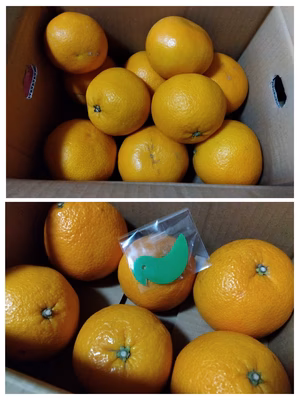 みんなの投稿の画像