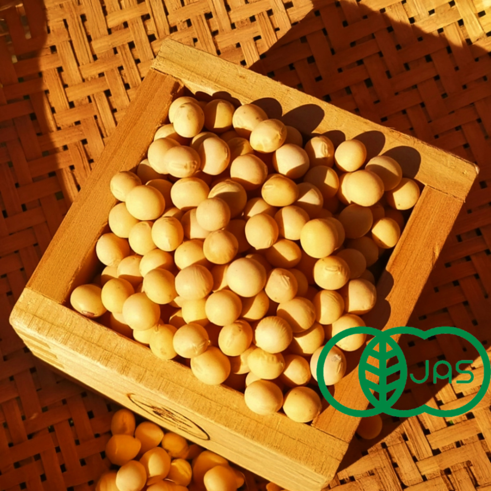 新豆！優しい味わい有機大豆 1kgずつパック！＃農薬不使用｜北海道産