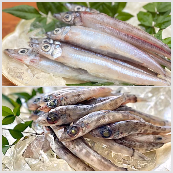 小さくても主役になる子ぼっちと多くの料理で活躍するメギスのセット