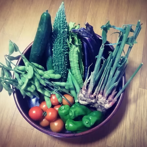 朝採り直送、季節の露地野菜セット(農薬不使用)