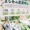 冬のエシカル農産物セット～四国・徳島から野菜ソムリエが厳選～