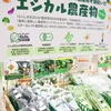 冬のエシカル農産物セット～四国・徳島から野菜ソムリエが厳選～