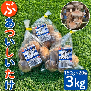 【国産・肉厚】ぶあついしいたけ（菌床栽培）3kg【栽培地：埼玉／原産地：群馬】