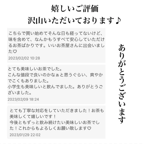 外宮奉納茶葉◎全国第3位◎伊勢特上茶100g入り3袋