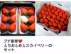 プチ豪華なスカイベリーととちおとめ＋少しとちあいかのセット❤️