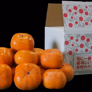 甘柿の王様！原木の里森町産「治郎柿」