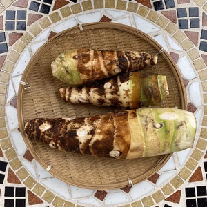 煮物の王様・タケノコ芋(京芋) 