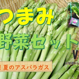 【熊本県産】 "おつまみ"野菜とベビーリーフセット ver.2