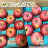 残りわずか【福袋2025】特選サンふじ（特別価格）3キロから　長野県産　贈答用