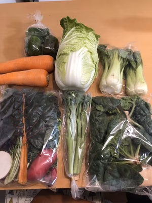 みんなの投稿の画像