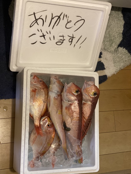 お一人様限定 高級魚 天然ヒラメ 農家漁師から産地直送の通販 ポケットマルシェ