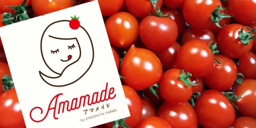 知ってしまった…アマメイドのあま〜いヒミツ。 | 農家漁師から産地直送の通販 ポケットマルシェ 知ってしまった…アマメイドのあま〜いヒミツ。 | 農家漁師から産地直送の通販 ポケットマルシェ
