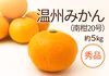 温州みかん＜南柑20号＞〈秀品〉約５kg　※発送は12月上旬頃～