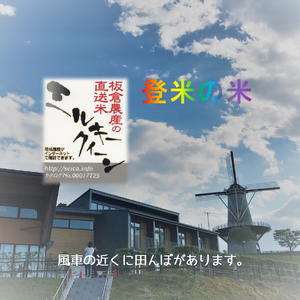 「今摺り米」の2年産【ミルキークイーン】