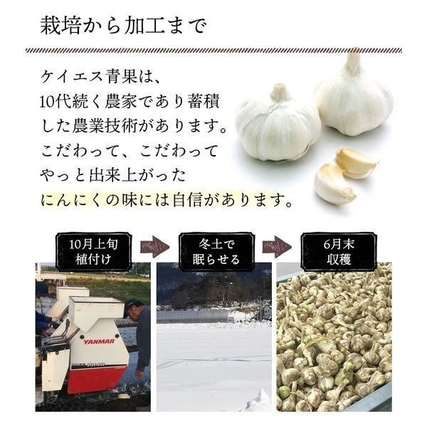 タネ用青森県産福地ホワイトバラにんにく3キロ送料無料