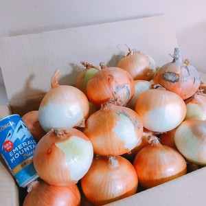 訳あり淡路島たまねぎ（5kg）