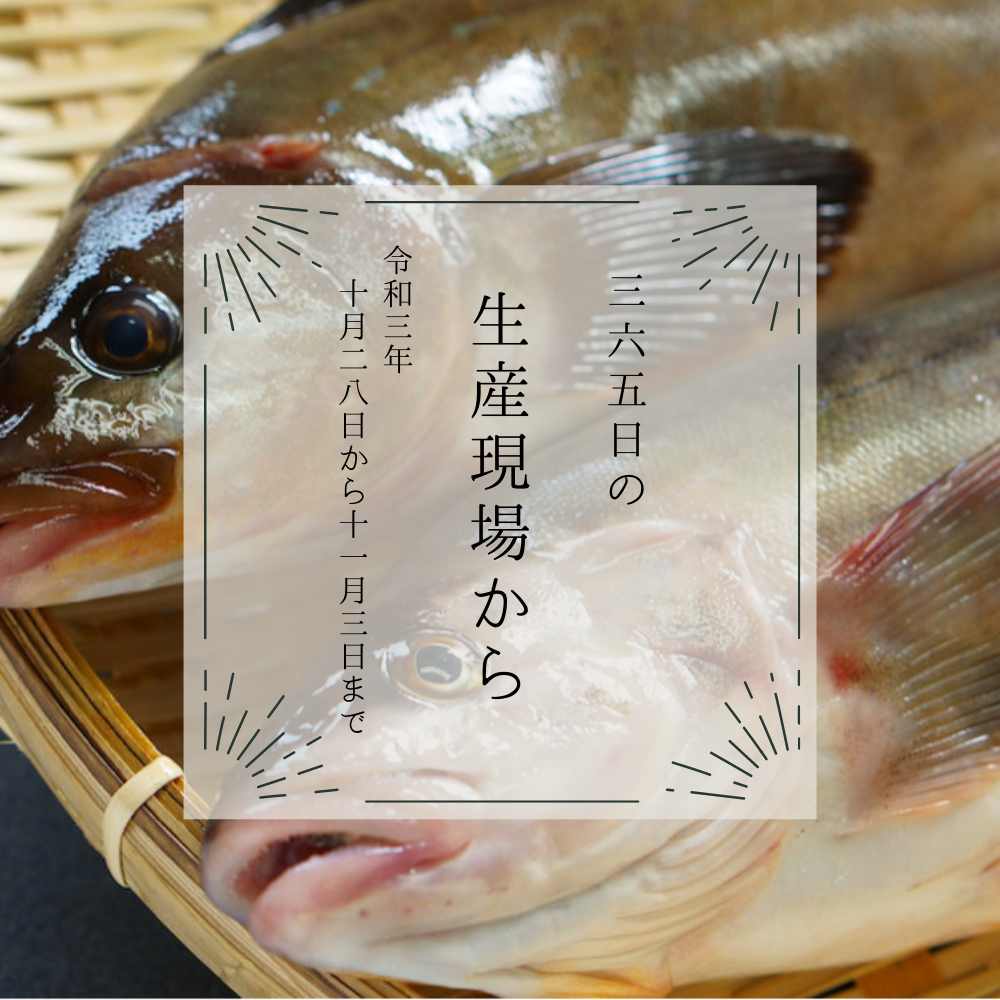 えび 無農薬紀州南高梅15キロ えび様専用 無農薬紀州南高梅15キロ （酎ハイ酔い梅（白