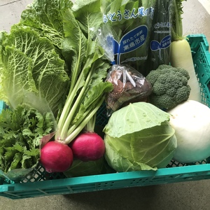 お歳暮やちょっとした贈り物にも☆旬野菜！コロナに負けるな！これで一週間大丈夫！