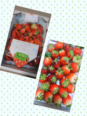 みんなの投稿の画像