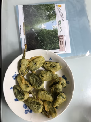 みんなの投稿の画像