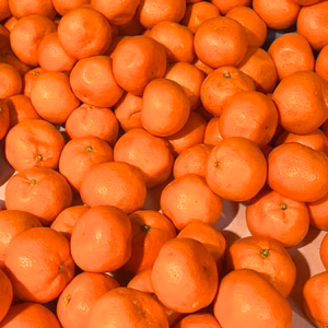 【訳あり】屋根かけ越冬みかん 3キロMサイズ　有田みかん　早生みかん