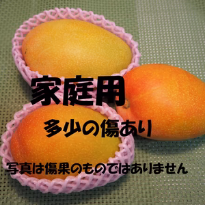モモのようにジューシーで甘い紀州美浜みさきマンゴー（家庭用）