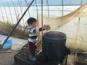 14650168_1099136580194121_2953880355524990266_n