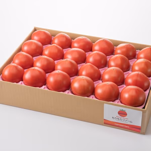 【8月下旬以降出荷分】青森県産!高糖度トマト 2.8kg　化学肥料・農薬完全不使