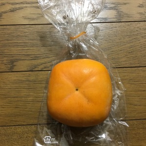 イノシシも大好き！？　樹上脱渋した越前柿／平核無　８個セットで