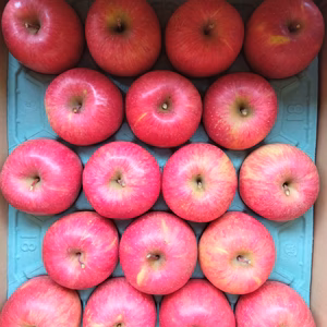 ☆家庭用/自家用　サンふじ　一度は食べて欲しい飯綱町の美味しいりんご☆　　