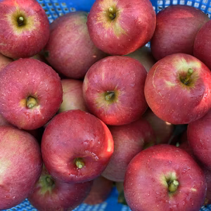 コクのある酸味。葉取らず紅玉