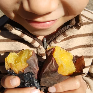 さつま芋2種とコシヒカリの糖質の誘惑セット