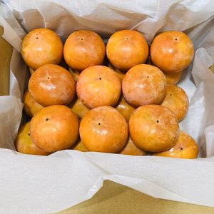 きよキヨ農園のかわいいＳサイズ　８０サイズ箱4キロ以上