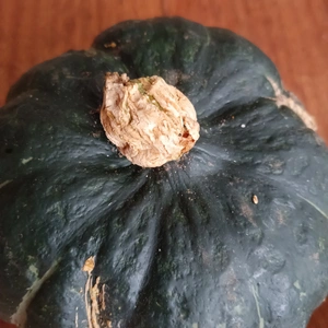 お日持ち野菜セット✨✨農薬と化学肥料を使わないで育てた野菜セット✨✨