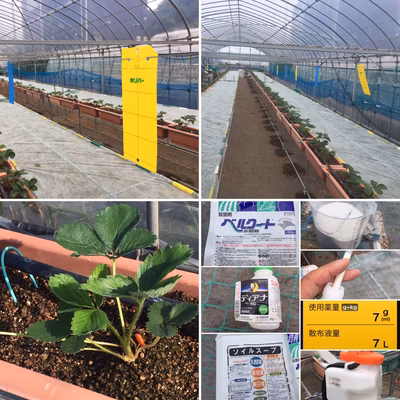 みんなの投稿の画像