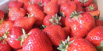 練乳、ちょっと待った！