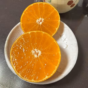 糖度14度に迫る！　瀬戸内プリンセス　愛果48号　紅プリンセス同品種　農家直送