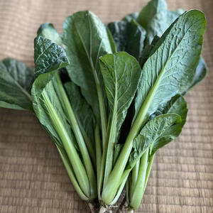 小松菜　2kg