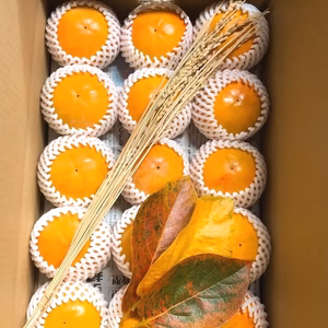  【福岡県の柿】田主丸町の富有柿5kg/2L玉15個