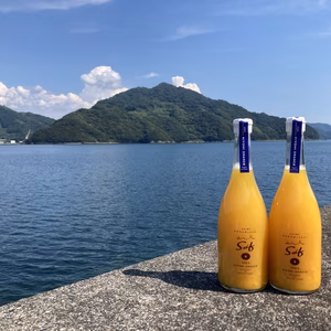 清見オレンジジュース　720ml x 2