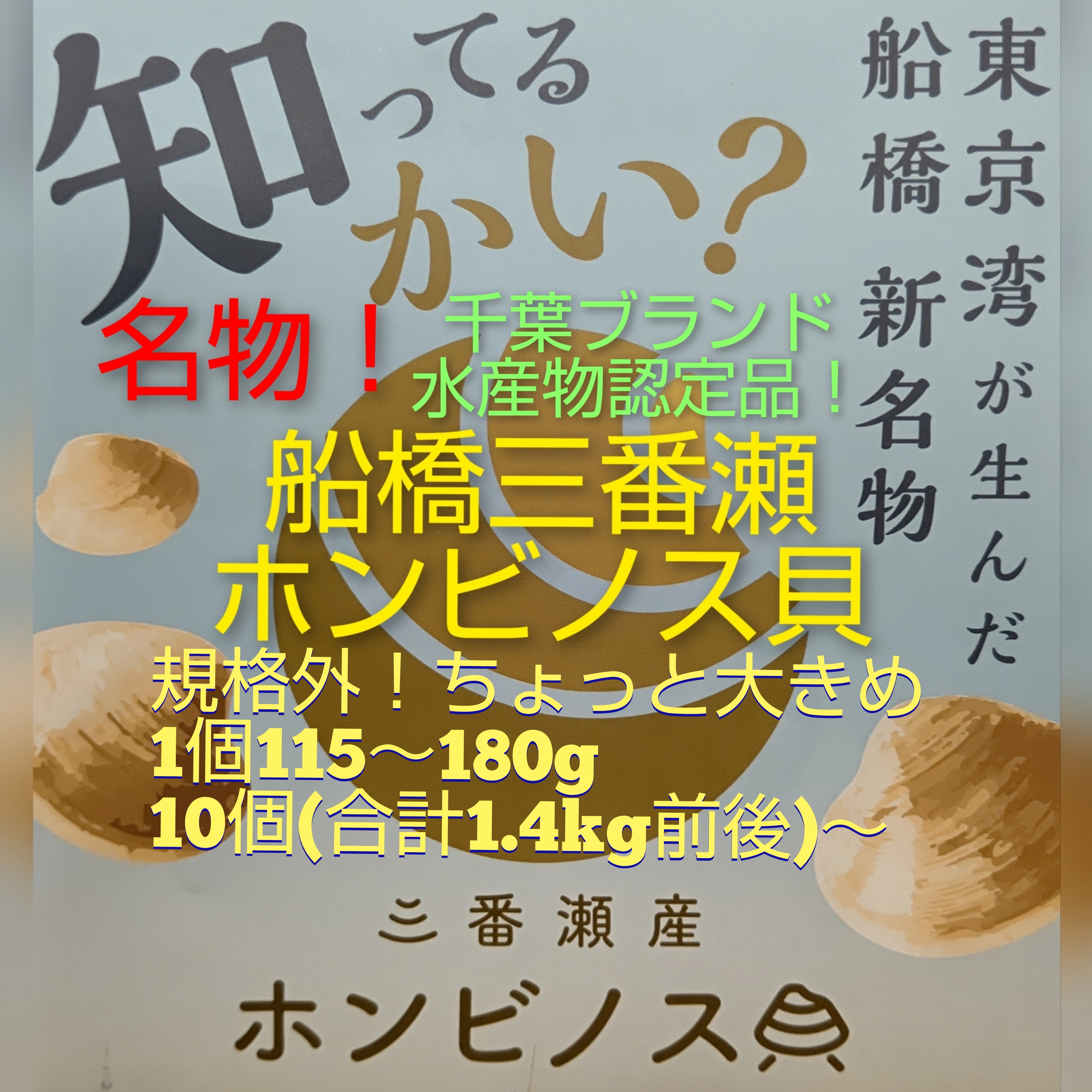 最大47%OFFクーポン 2kg 漁師直送 送料無料 ご自宅でもバーベキューでも 高評価獲れたて新鮮 千葉県船橋産ホンビノス貝 三番瀬 お酒のおつまみ  jadom.org