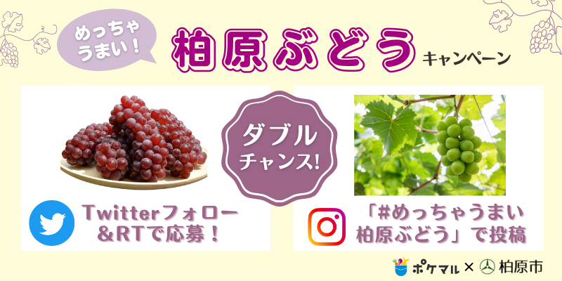 知る人ぞ知る 大阪府柏原市産のぶどうが当たる めっちゃうまい柏原ぶどう キャンペーンが始まりました 農家漁師から産地直送の通販