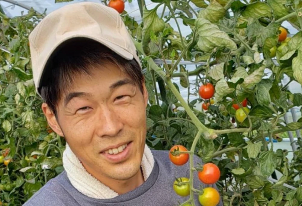 【7周年福袋】‼️特価‼️有機肥料で作った幻のミニトマト